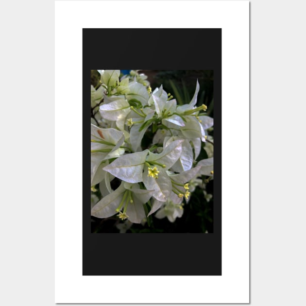 white flowers in the garden Wall Art by likbatonboot